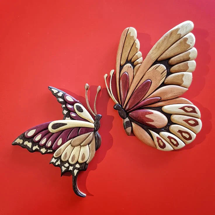 Furniture, Nature & Butterflies